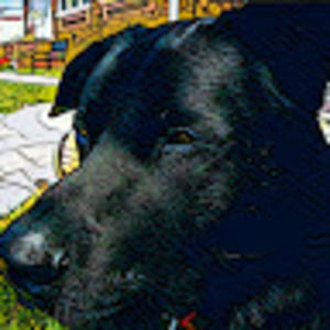 Meet your Posher, Ian